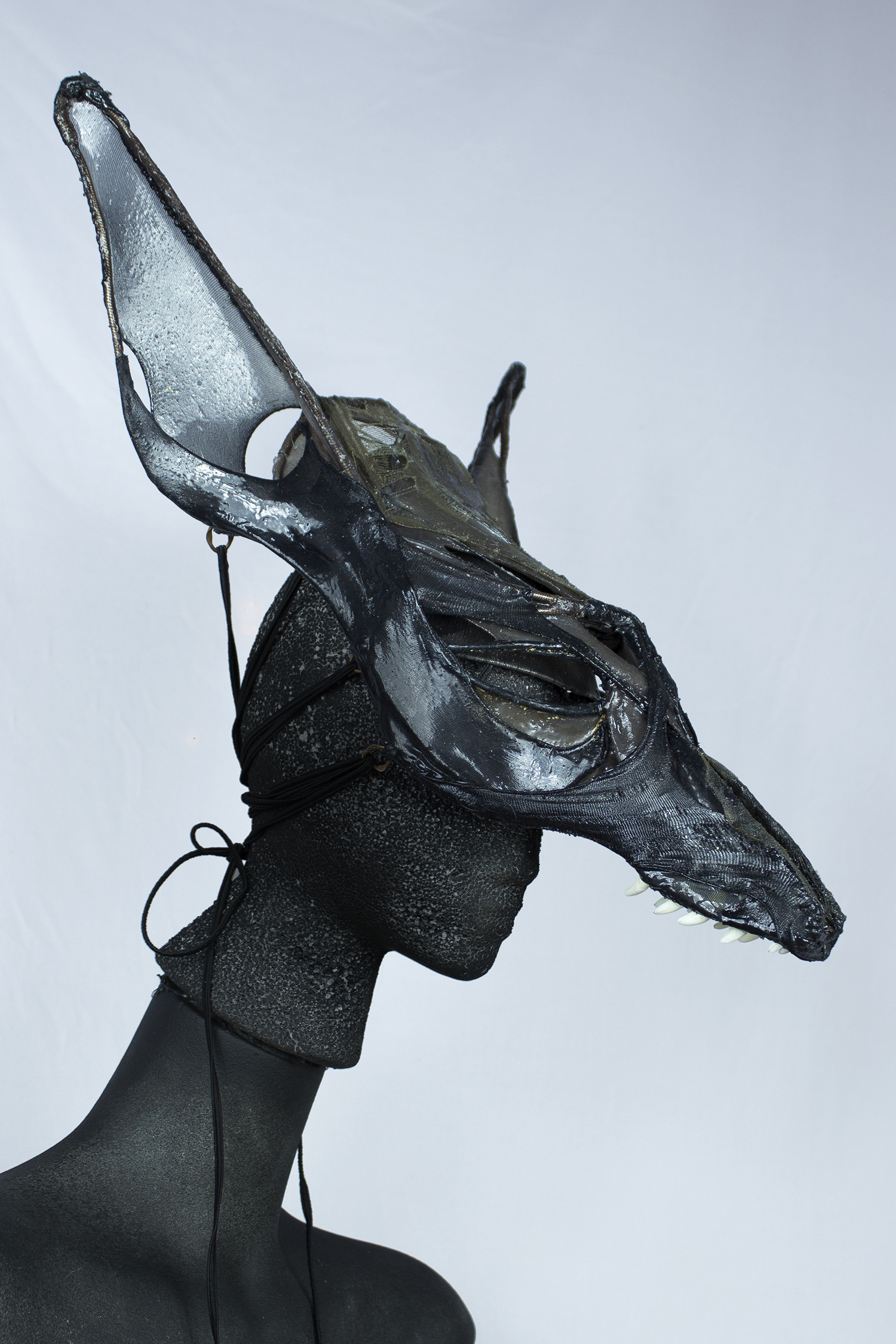 Anubis4.jpg
