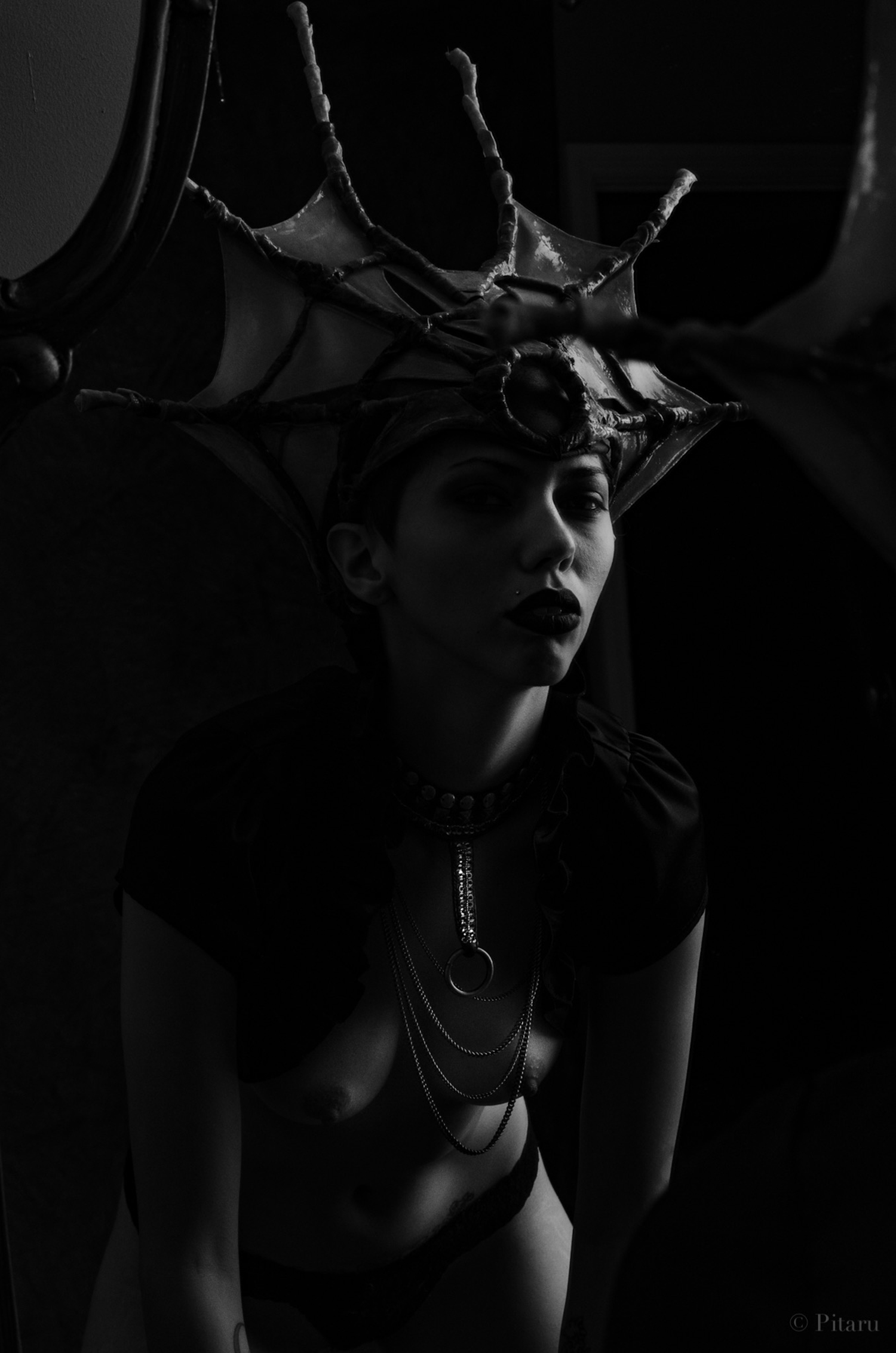 DSC-1402.jpg